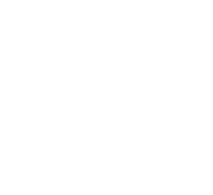 Rebate Icon