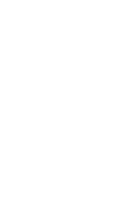 Rebate Icon