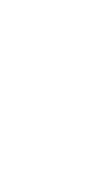 Rebate Icon