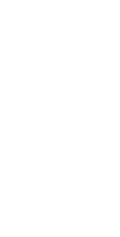 Rebate Icon