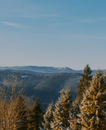 New Hampshire